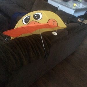 Meet your Posher, Evelyn